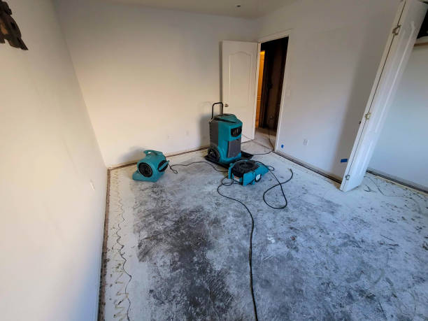  Woodstock, GA Water damage restoration Pros