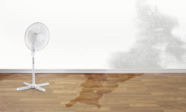 Best Water damage cleanup near me  in Woodstock, GA