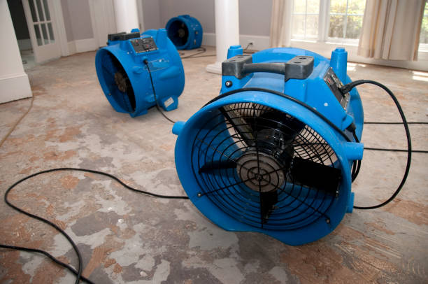 Best Water damage restoration insurance claims  in Woodstock, GA